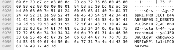 An ICMP Echo Request packet sent by PingPull in response to our test command.