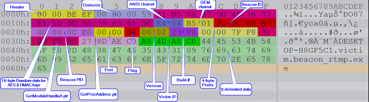 The diagram maps the metadata schema for Cobalt Strike, including a header, the data size field, the ANSI charset, OEM charsets, BeaconID, Process ID, Port, Flag, Version numbers, build version, 4-byte prefix, IP address of the target, \t delimited data, pointers to GetModuleHandleA and GetProc Address and more.