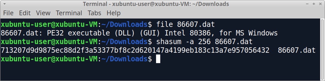 Image 6 is a screenshot of the Linux terminal window showing how to check the file type and the hash in the terminal.