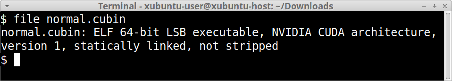 Screenshot of Ubuntu terminal downloads folder where the file command shows a cubin file.